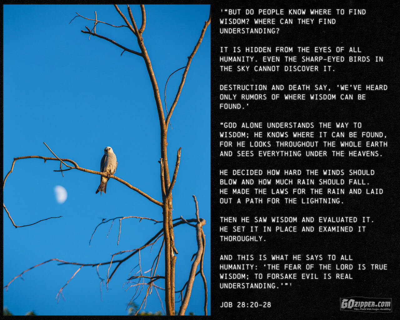 The fear of the Lord is true wisdom - '“But do people know where to find wisdom? Where can they find understanding? 

It is hidden from the eyes of all humanity. Even the sharp-eyed birds in the sky cannot discover it.
 
Destruction and Death say, ‘We’ve heard only rumors of where wisdom can be found.’ 

“God alone understands the way to wisdom; he knows where it can be found, for he looks throughout the whole earth and sees everything under the heavens. 

He decided how hard the winds should blow and how much rain should fall. 
He made the laws for the rain and laid out a path for the lightning. 

Then he saw wisdom and evaluated it. 
He set it in place and examined it thoroughly. 

And this is what he says to all humanity: ‘The fear of the Lord is true wisdom; to forsake evil is real understanding.’”'

Job 28:20-28