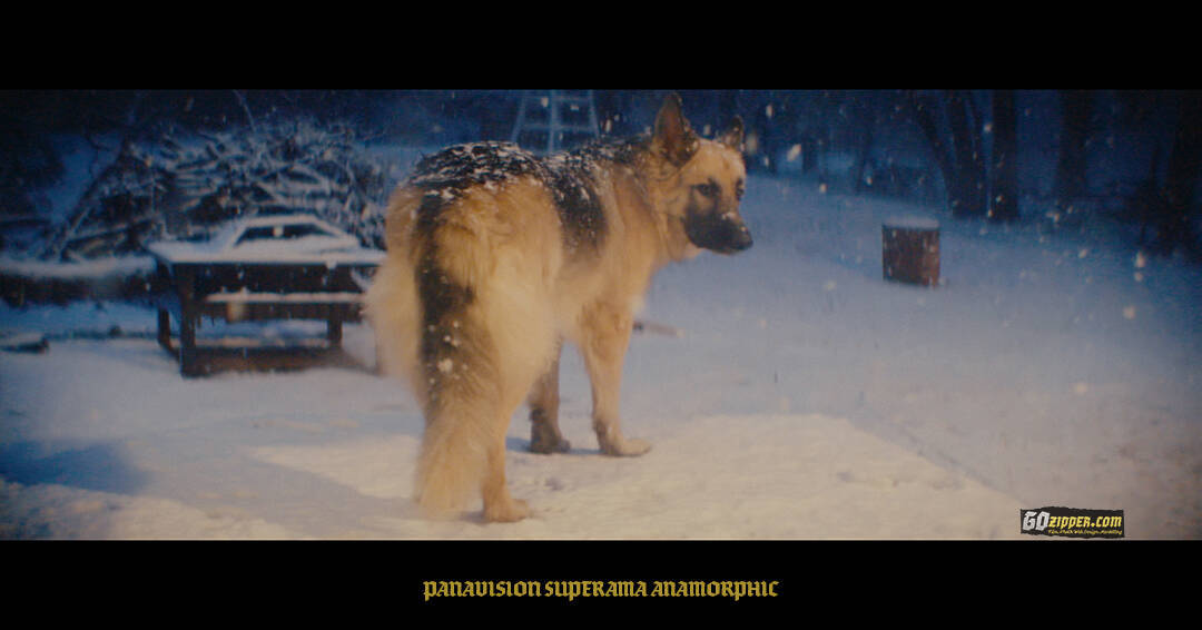 Panavision-Superama-Anamorphic-Teddy-Snow-03