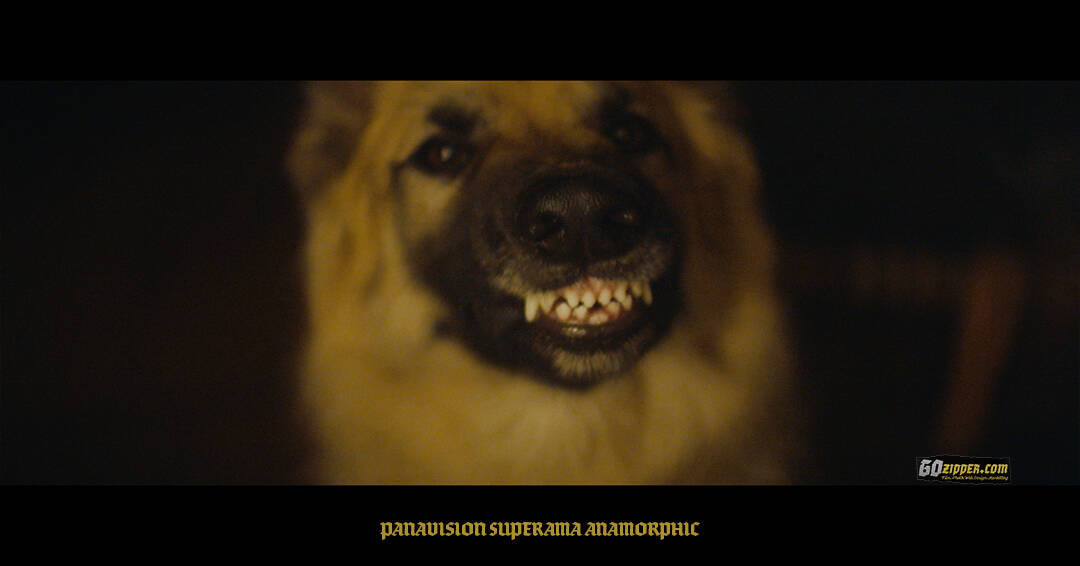 Panavision-Superama-Anamorphic-Teddy-Yawn-01