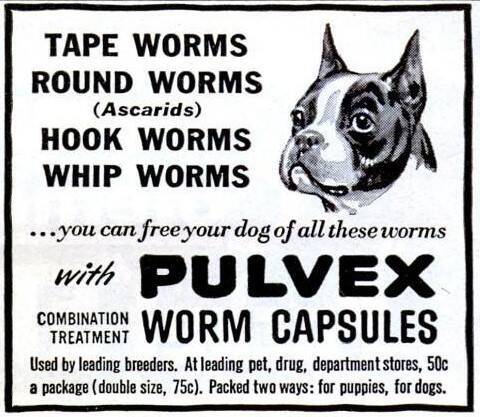 Pulvex-Worm-Capsules---September-1945