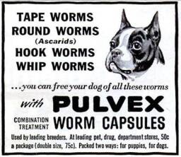 Pulvex-Worm-Capsules---September-1945